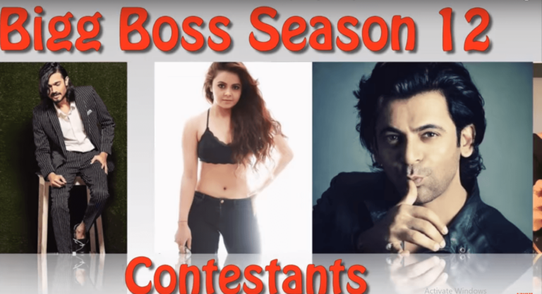 इस बार ये कलाकार मचाएंगे BIGG BOSS 12 में धमाल