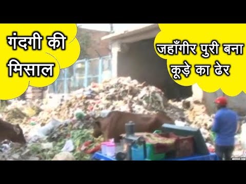 Delhi News - जहाँगीरपुरी में कूड़ेदान से लोगों का बुरा हाल || लोग करते पलायान || Delhi Darpan TV