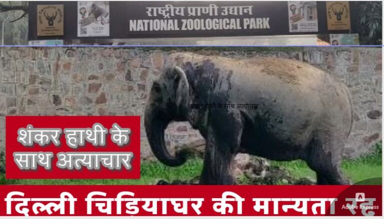 Delhi Zoo | शंकर हाथी के साथ अत्याचार के आरोप में दिल्ली चिड़ियाघर की मान्यता रद्द 