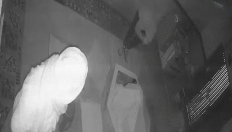 Delhi Crime: भगवान शिव को प्रणाम कर चुराया चांदी का पत्रा