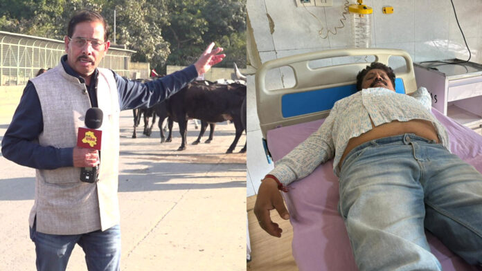 मोटी कमाई या मौत का इंतज़ार ? केशव पुरम में MCD और डेयरी माफिया का 'खूनी' नेक्सस बेनकाब !