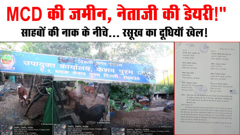 ग्रीन बेल्ट बनी ‘नेताओं का तबेला’: शिकायतों पर कुंडली मार कर बैठा प्रशासन, क्या दूध-घी के चढ़ावे में बिक गए नियम ?