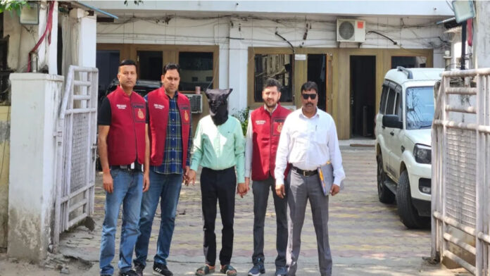 महंगी किताबें और 'सस्ता' धोखा: दिल्ली में 20,000 पायरेटेड किताबों का जखीरा बरामद; क्राइम ब्रांच ने दबोचा बुक माफिया का मास्टरमाइंड