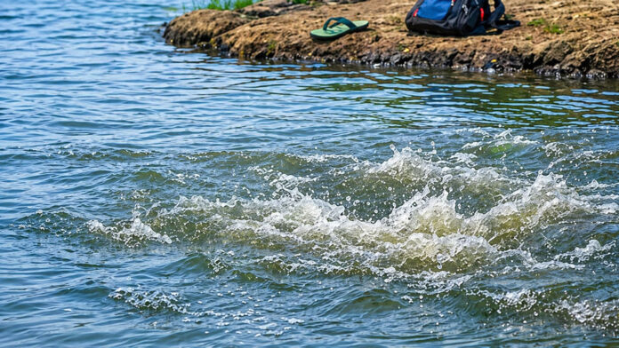 द्वारका गोल्फ कोर्स में बड़ा हादसा: तालाब में डूबने से तीन मासूमों की दर्दनाक मौत, इलाके में मचा कोहराम