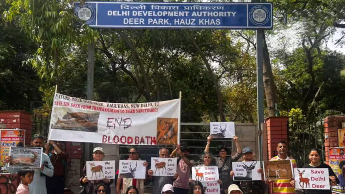 डियर पार्क के हिरणों पर मौत का साया: टाइगर रिजर्व भेजने के फैसले पर मचा बवाल, सर्वे में 261 में से सिर्फ 17 जीवित मिलने से खुली वन विभाग की पोल