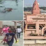 गोरखपुर प्राणी उद्यान के प्रवेश द्वार पर टिकट जांच करते कर्मचारी और दर्शक।