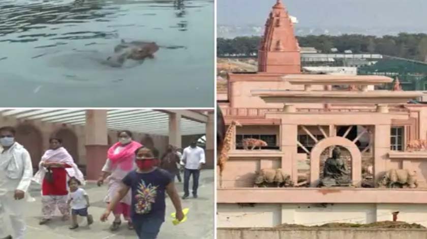गोरखपुर प्राणी उद्यान के प्रवेश द्वार पर टिकट जांच करते कर्मचारी और दर्शक।